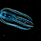 Illustration for article titled Should We Be Exploring The Oceans Instead Of Space?